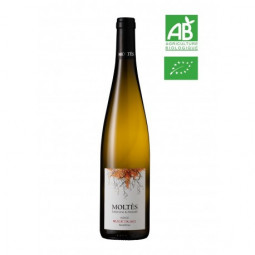 MUSCAT D'ALSACE BIO
