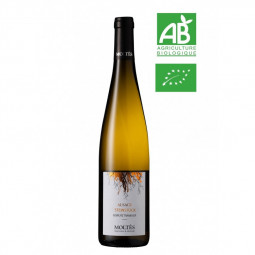 GEWURZTRAMINER STEINSTÜCK BIO